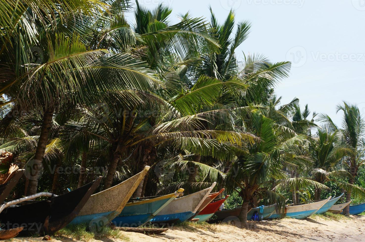 Sri Lanka Boote foto