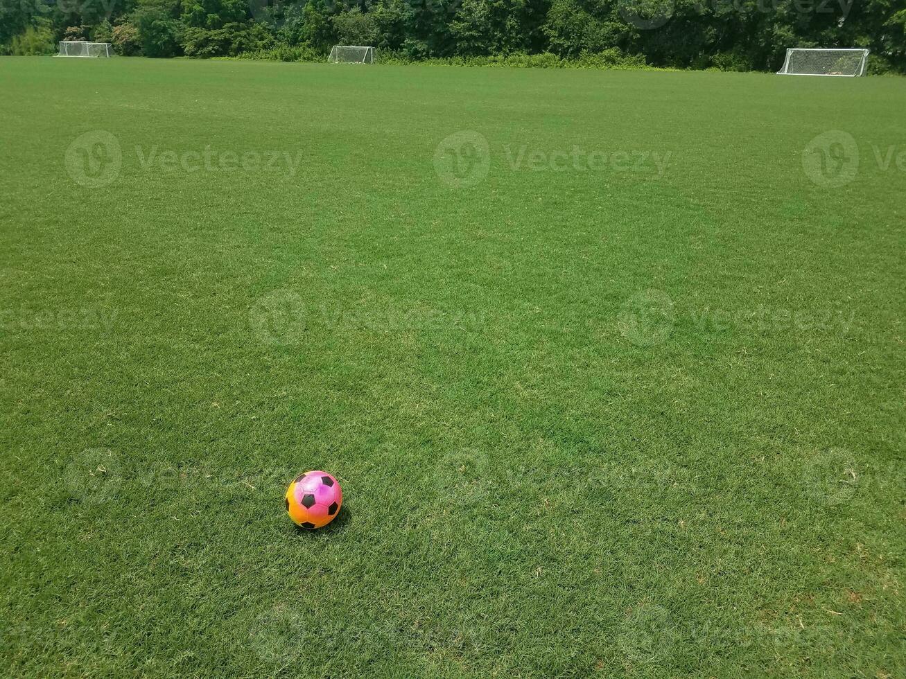 bunter Fußball auf Gras auf einem Feld foto