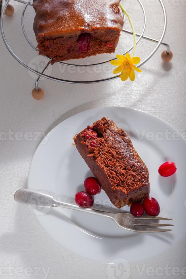 Schokoladenkuchen mit Preiselbeeren foto