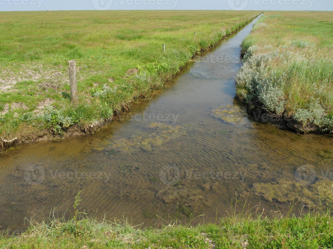 hallig hooge in der deutschen nordsee foto