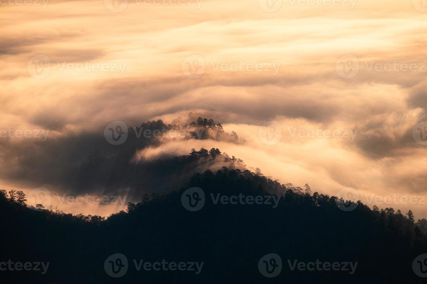 Schöner goldener Nebel, der auf dem Berg im Tal im Nationalpark fließt foto
