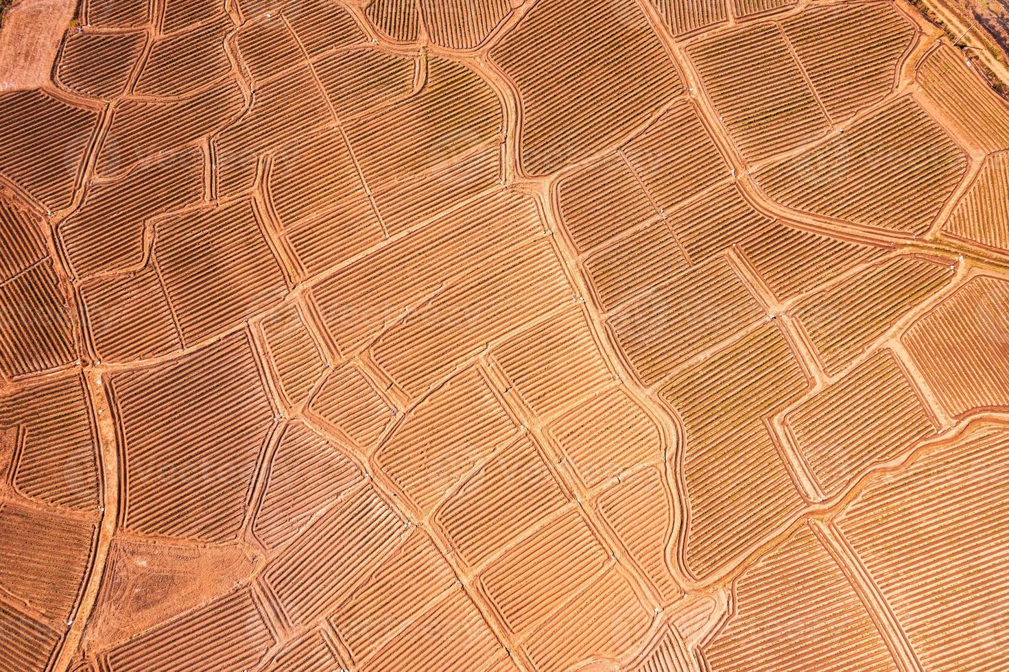 landwirtschaftliche Bodenrille, Landfleckenfeld, das sich für den Anbau auf Ackerland auf dem Land vorbereitet foto