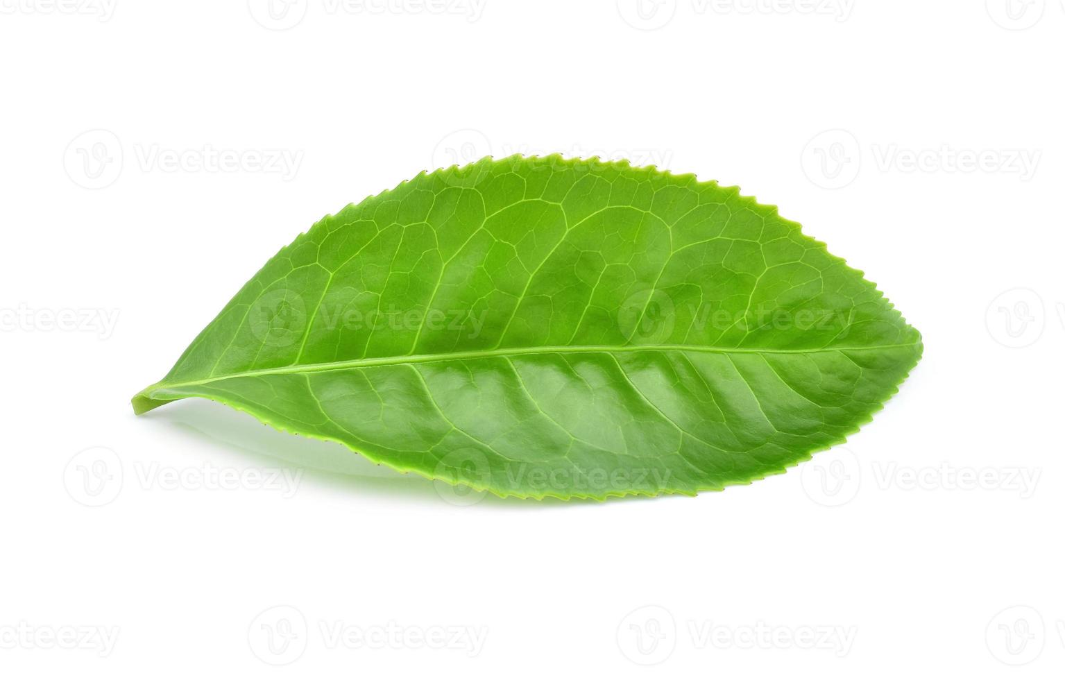 Blatt des grünen Tees getrennt auf Weiß foto