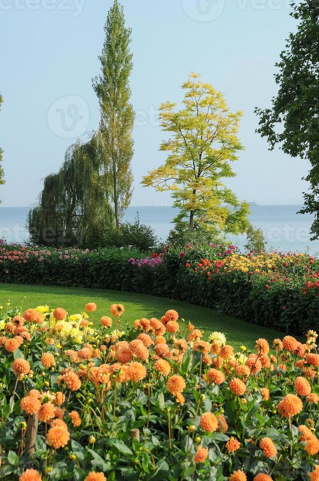 der bodensee in deutschland foto