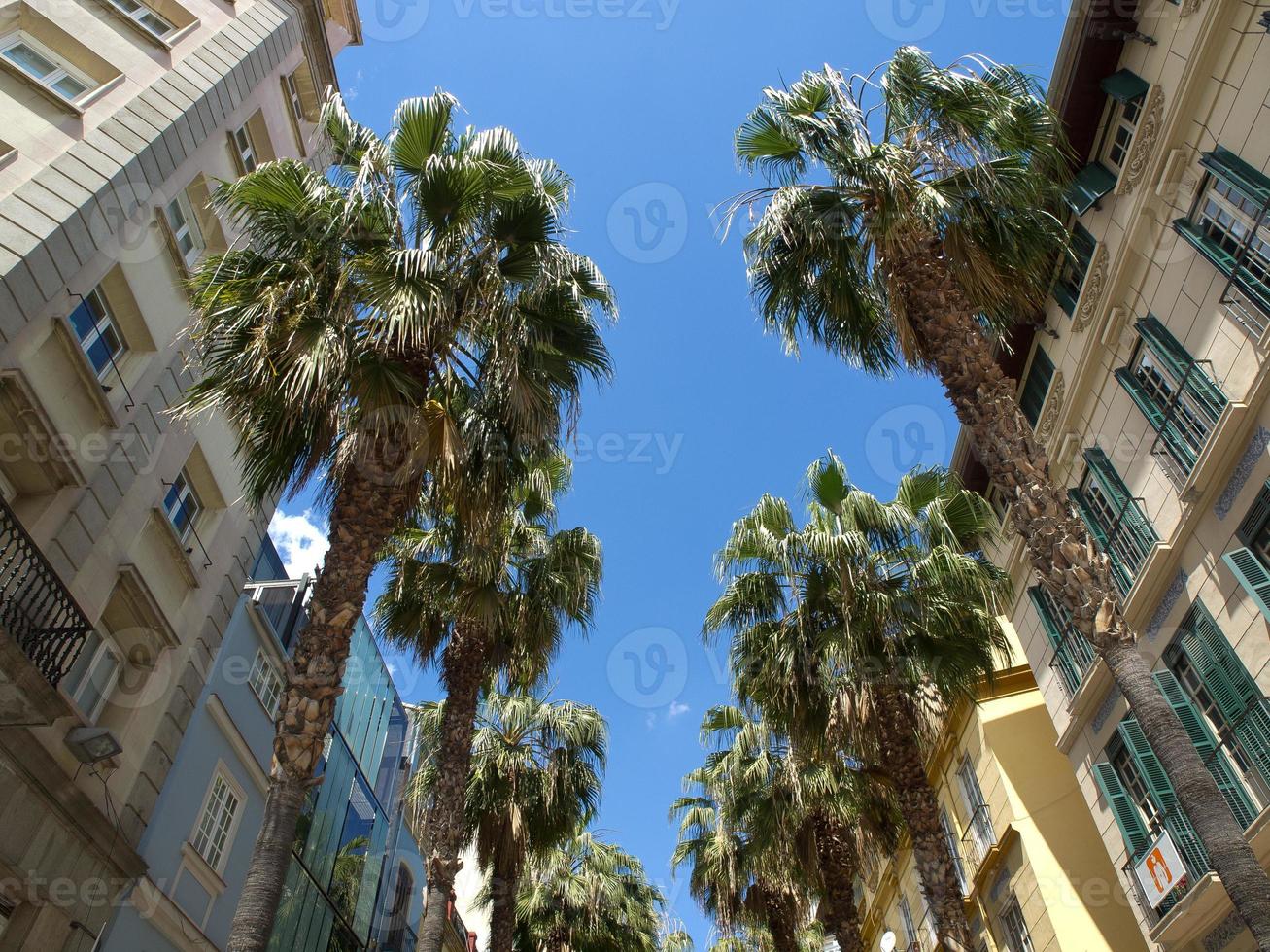 malaga stadt in spanien foto