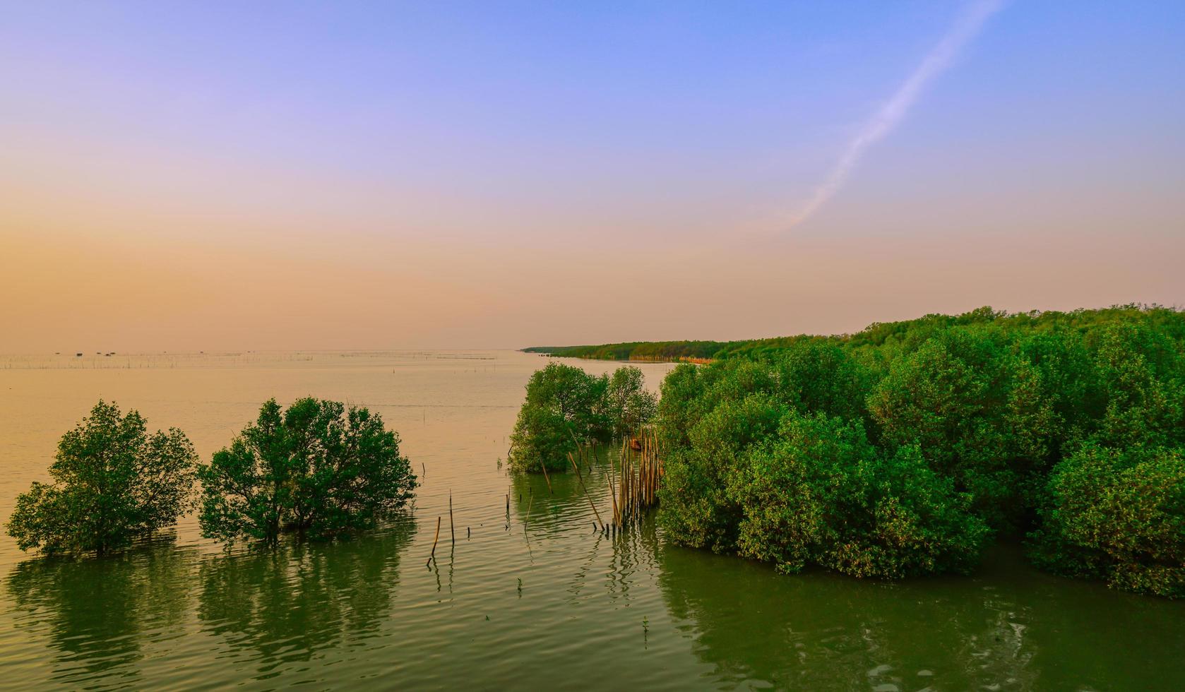 schöner Himmel und Wolken im Mangrovenwald. tropisches meer mit sonnenuntergang. foto