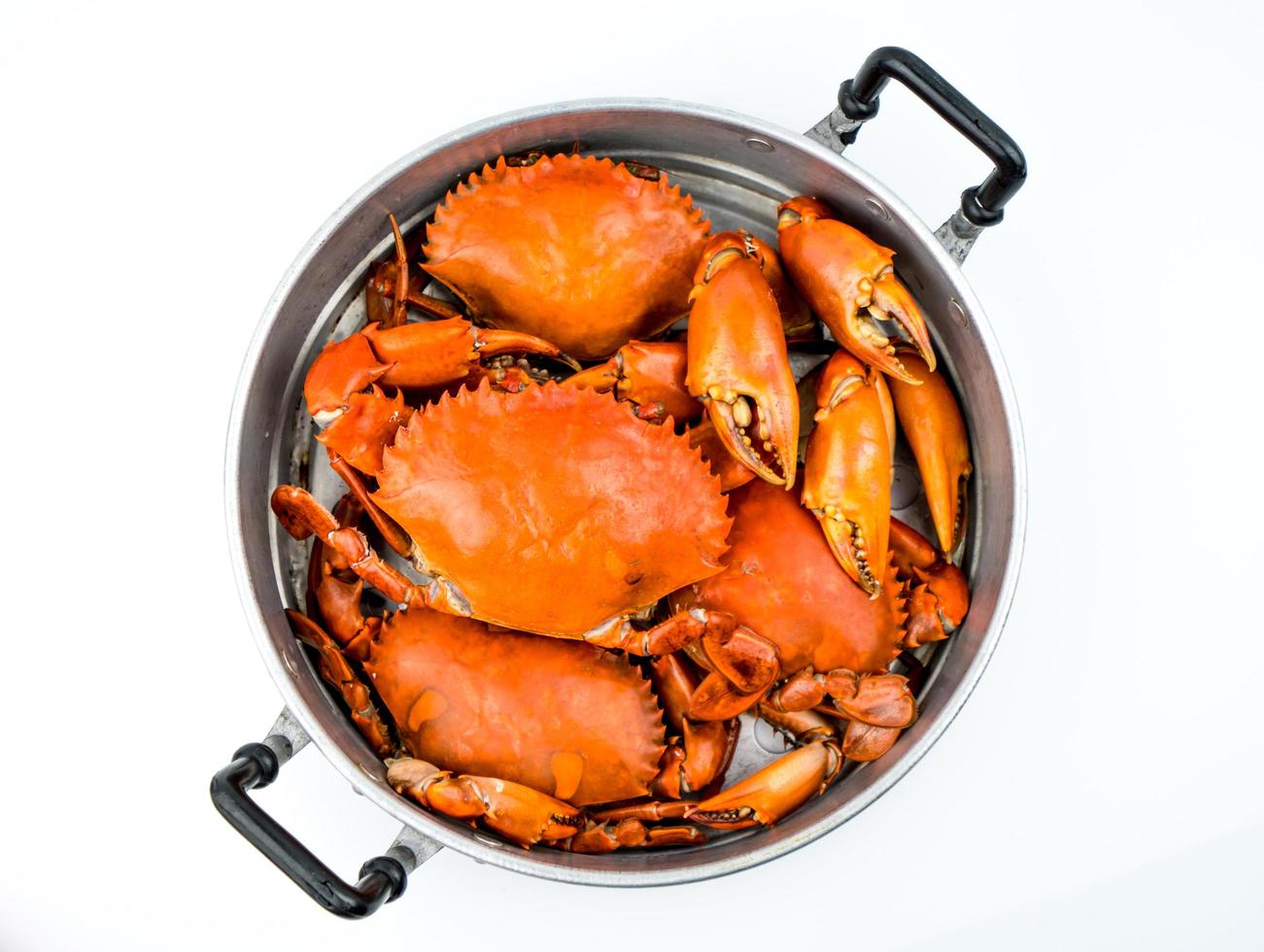 scylla serrata. Gedämpfte Krabbe in einem Topf isoliert auf weißem Hintergrund mit Kopierraum. Konzept für Fischrestaurants. foto