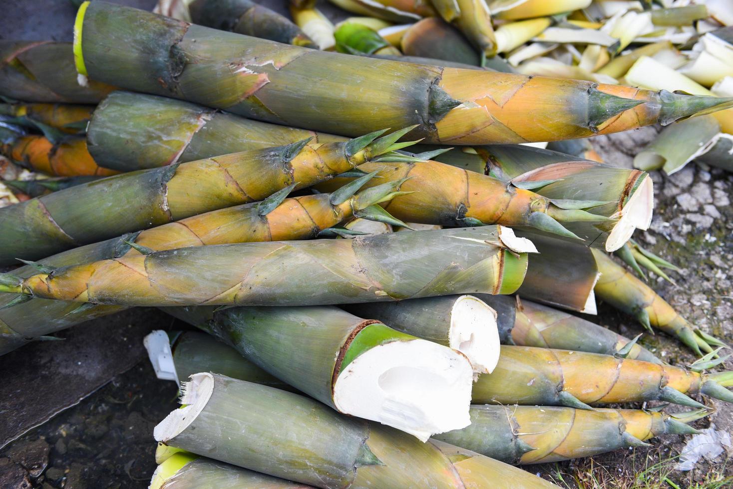 Haufen Bambussprossen aus dem Naturwald zum Verkauf auf dem Markt - Bambussprossen asiatisch thailand foto