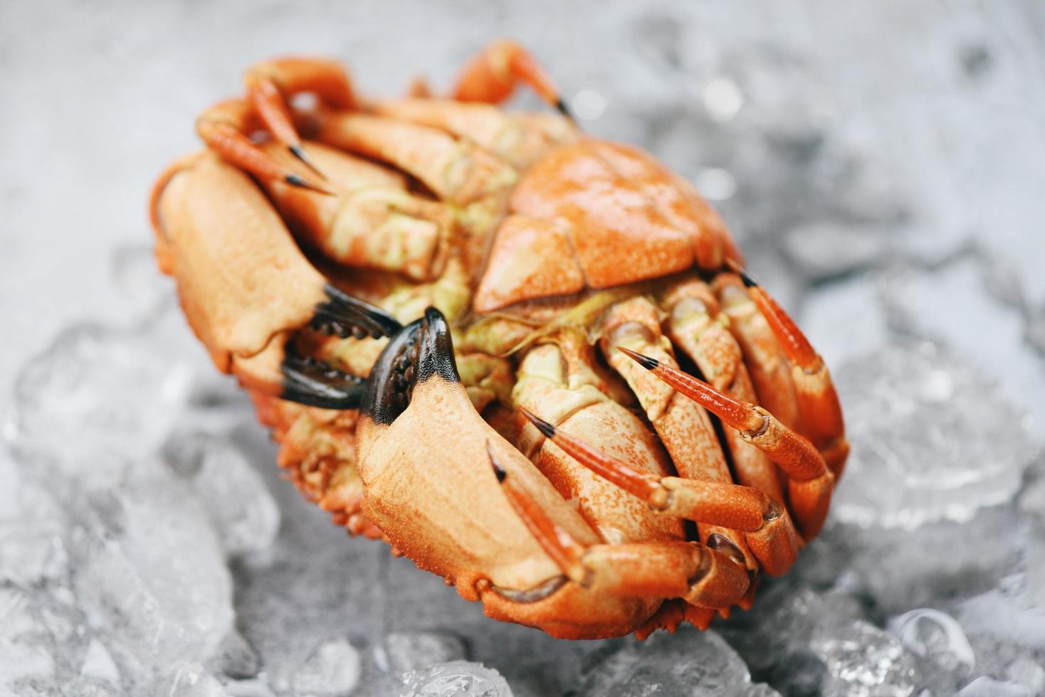 frische Krabben auf Eishintergrund - gekochte Krabben Meeresfrüchte foto