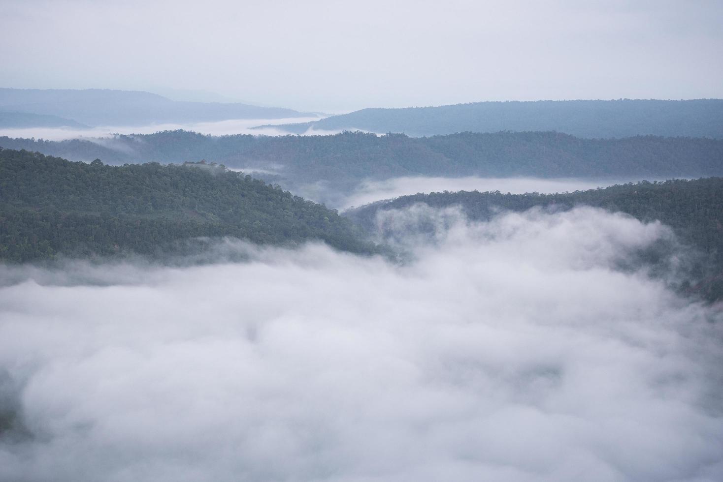 nebelige bergwaldlandschaft im morgennebel und waldbaumansicht oben - nebliger morgennebel im tal schön in thailand asiatisch foto