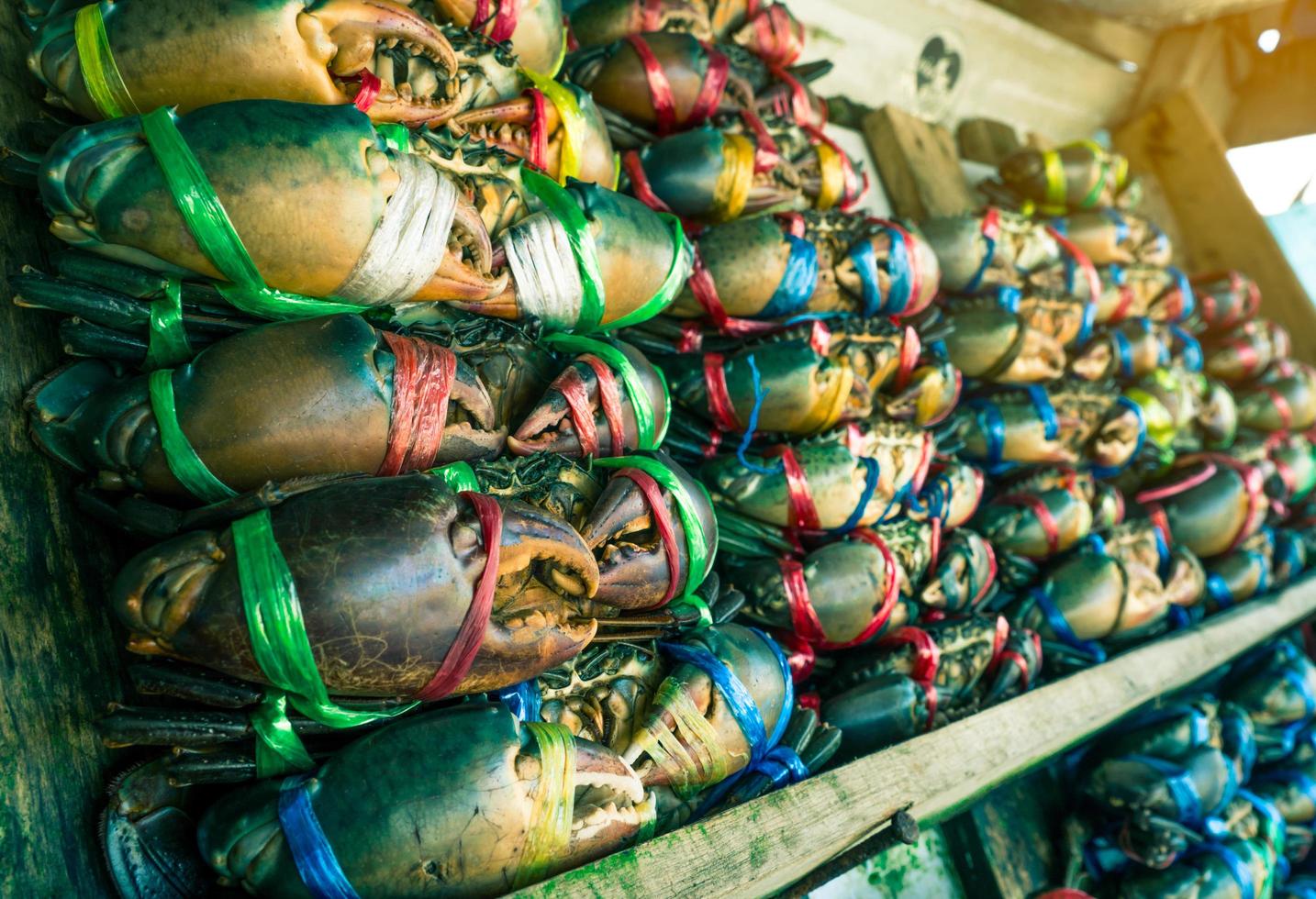 scylla serrata. Frische Krabben werden mit bunten Plastikseilen gebunden und auf dem Fischmarkt in Thailand in ordentlichen Reihen angeordnet. rohstoffe für das konzept der meeresfrüchterestaurants. foto