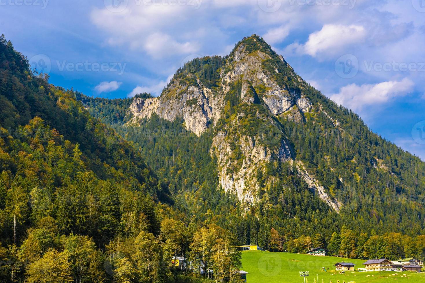 alpen mit wald bedeckt, schönau am königssee, königsee, nationalpark berchtesgaden, bayern, deutschland. foto