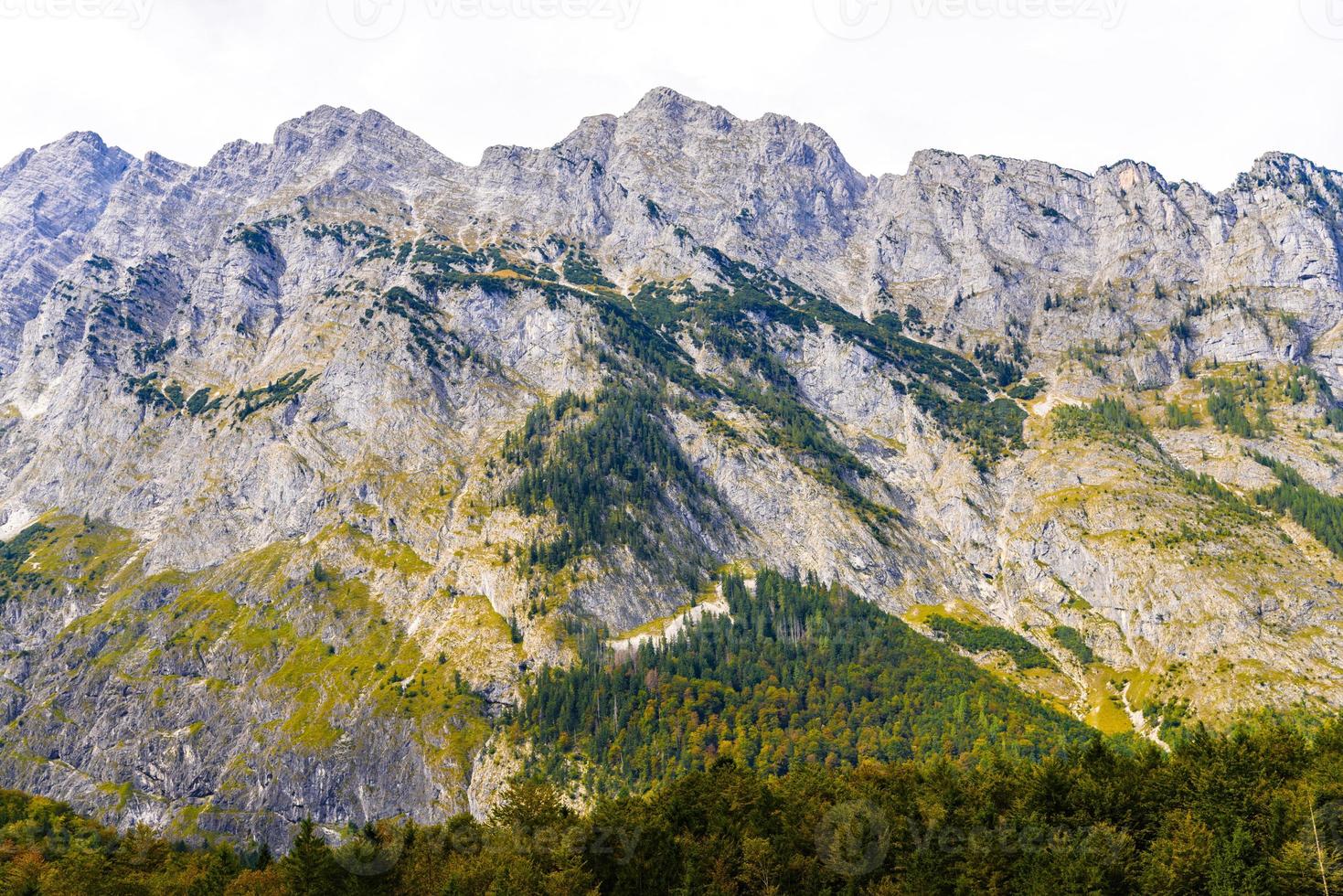 alpen mit wald bedeckt, königssee, königssee, nationalpark berchtesgaden, bayern, deutschland foto