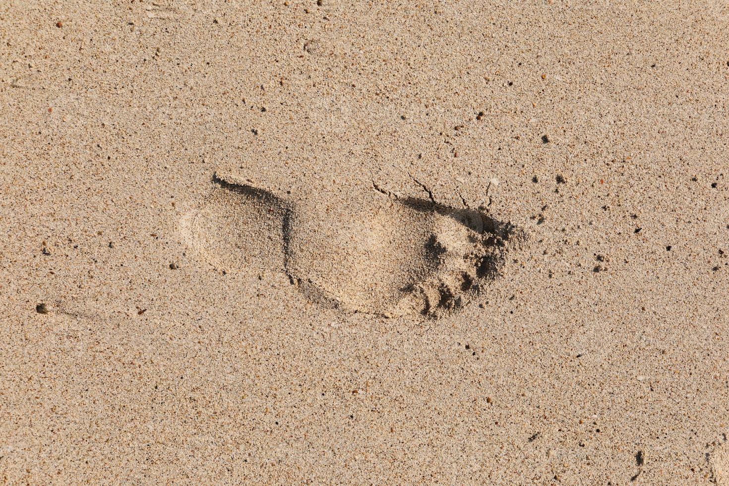 Spur eines nackten Fußes eines Mannes im Sand. Drucken Sie auf einer nassen Oberfläche auf dem Strandhintergrund foto