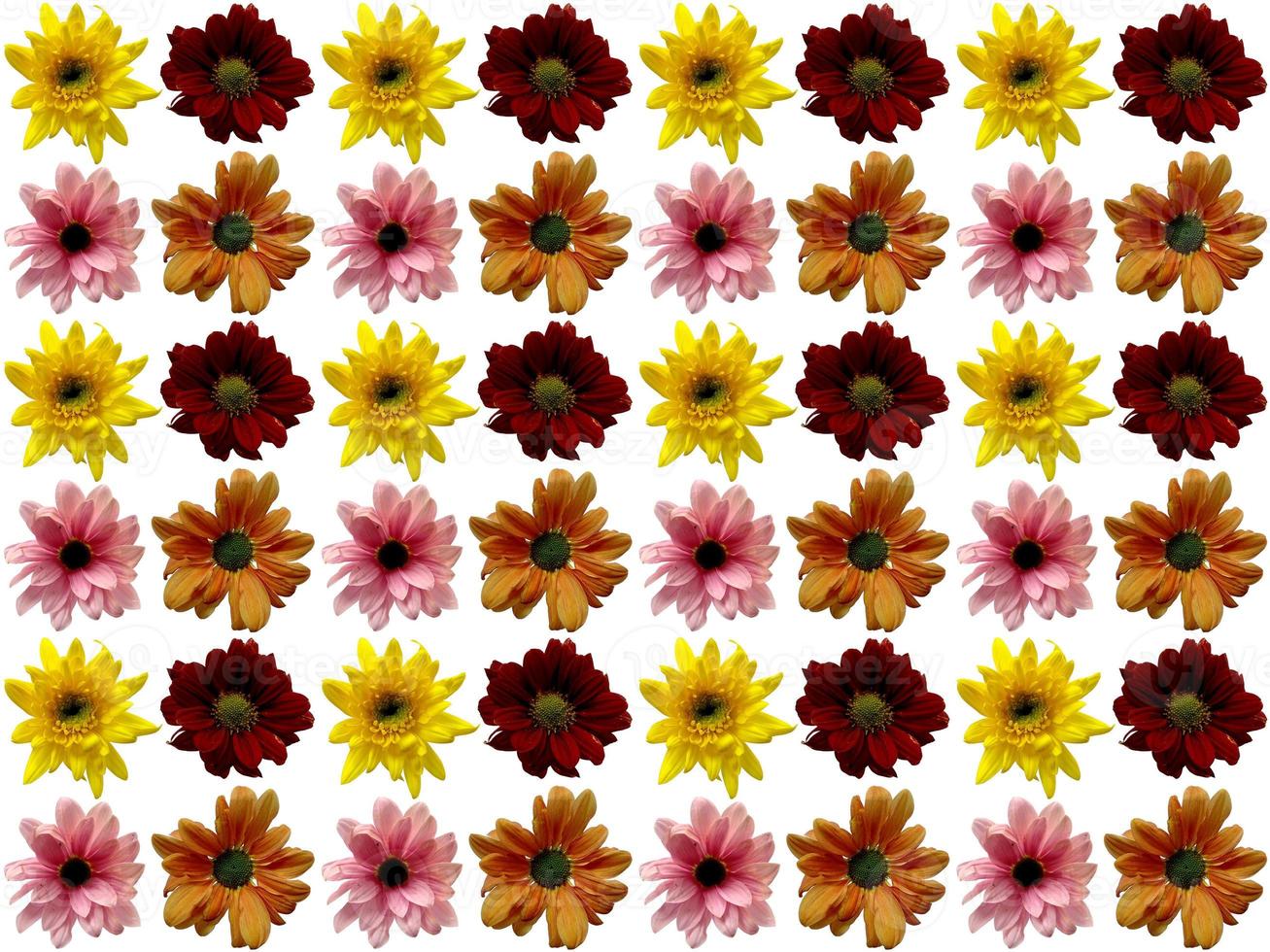 Blumenmuster Hintergrund foto