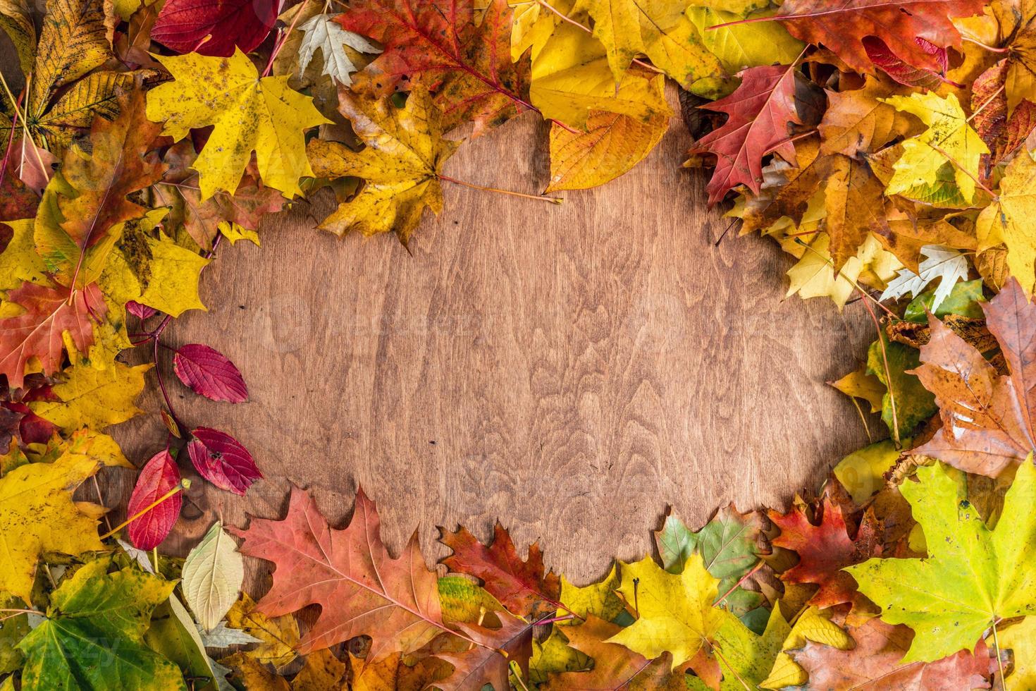 Rahmen aus Herbstlaub auf Holz. Herbst Hintergrund foto