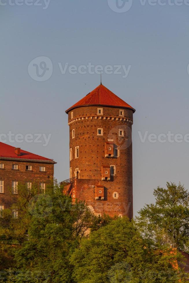 königliches schloss in wawel, krarow foto