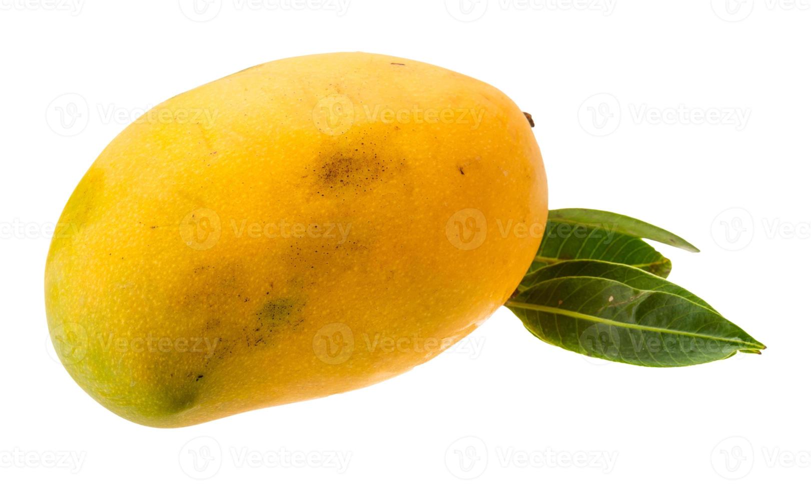 gelbe helle mango foto