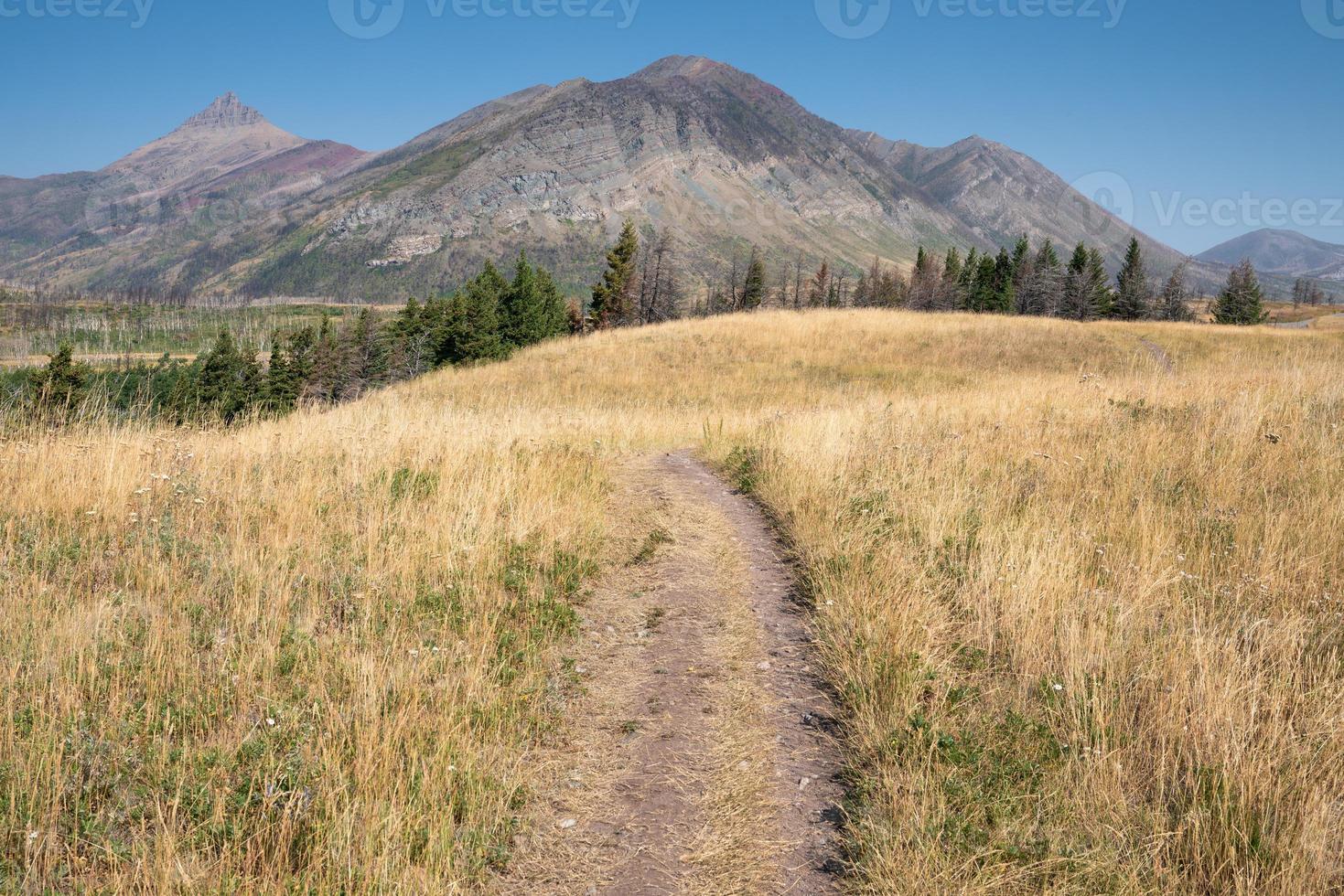 Nationalpark Waterton Lakes, Alberta, Kanada foto