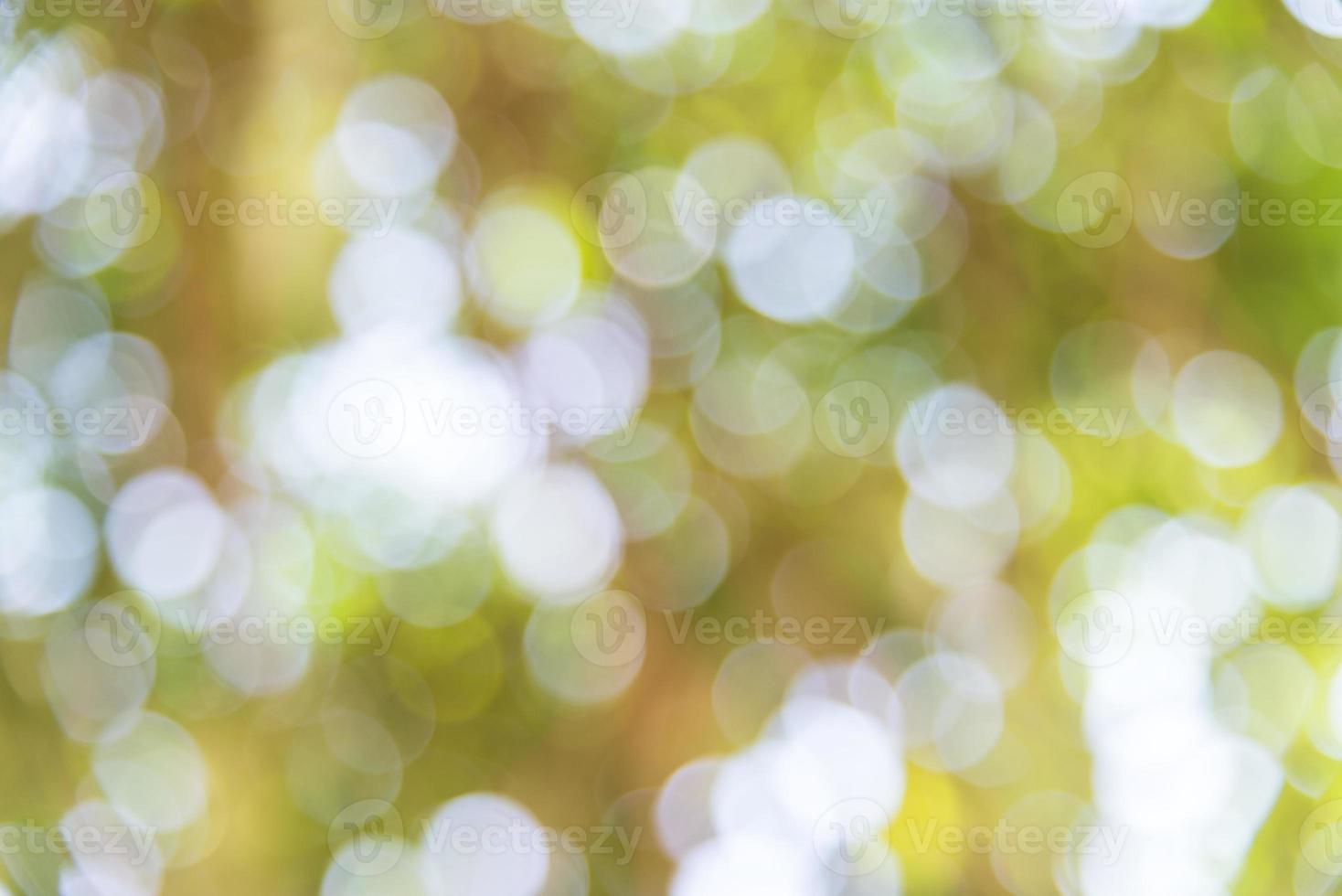 Bokeh-Hintergrund verwischen. foto