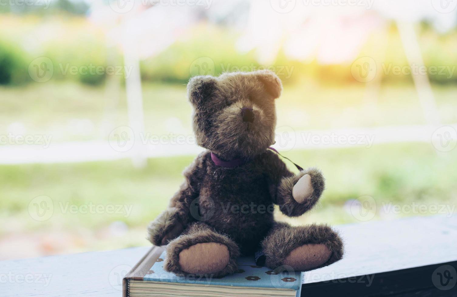 Einsamer Bär, der im Liebesgesicht sitzt foto