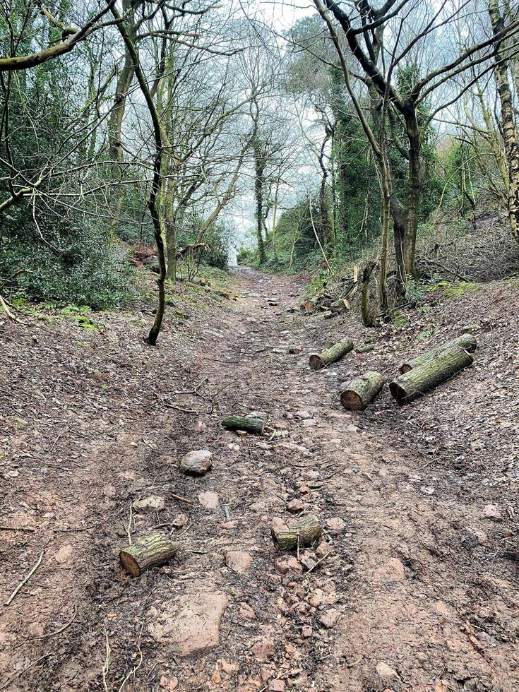 ein Blick auf die Landschaft von Cheshire in Peckforton Hills foto