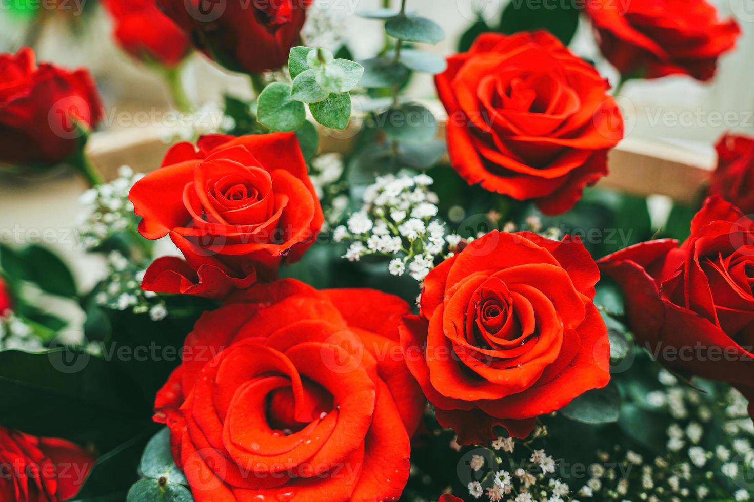 Strauß frischer roter Rosen, heller Blumenhintergrund. Nahaufnahme einer roten Rose mit Wassertropfen. foto