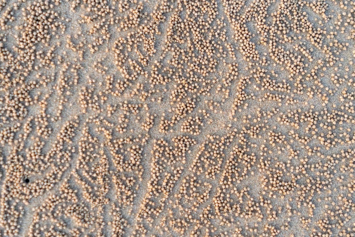 Brauner Sand Textur Hintergrund aus feinem Sand. foto