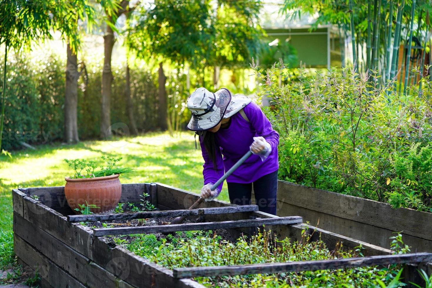 gradarbeiter, der sich um die pflanze im garten kümmert. foto