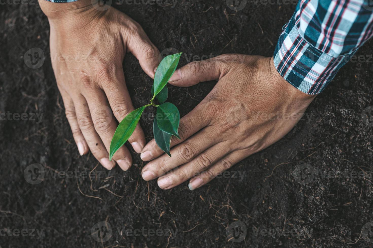 Ein Mann pflanzt Baumsetzlinge in den Boden eines tropischen Waldes und pflanzt einen Ersatzbaum, um die globale Erwärmung zu reduzieren. das Konzept, die Welt zu retten und die globale Erwärmung zu reduzieren. foto