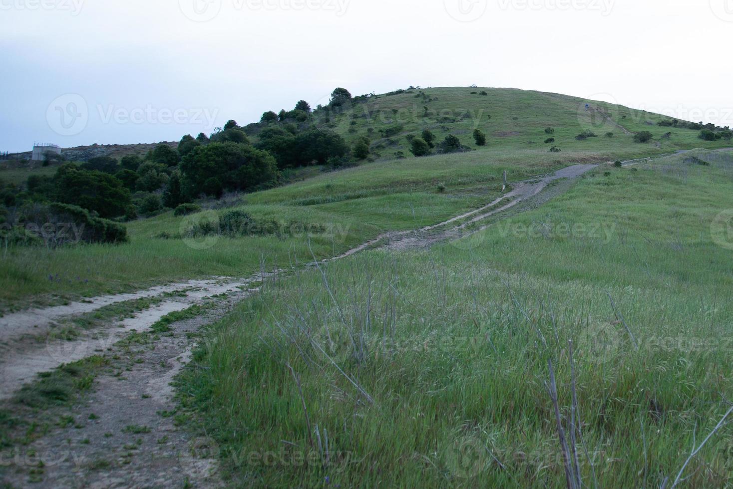 bergauf schotterweg schoen gruen ruhig foto