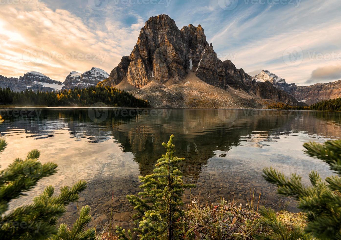 felsiger berg mit kiefernreflexion auf himmelblauem see im assiniboine-provinzpark foto