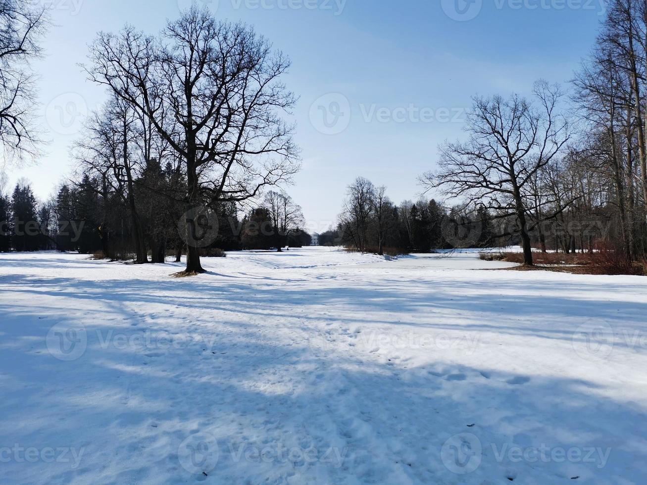 frühling im pawlowsky-park weißer schnee und kalte bäume foto