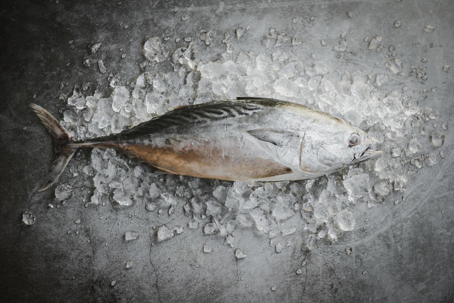 Longtail-Thunfisch, östlicher kleiner Thunfisch, frischer Fisch auf Eis auf dem Markt - rohe Fischmeeresfrüchte auf Draufsicht des schwarzen Hintergrundes foto