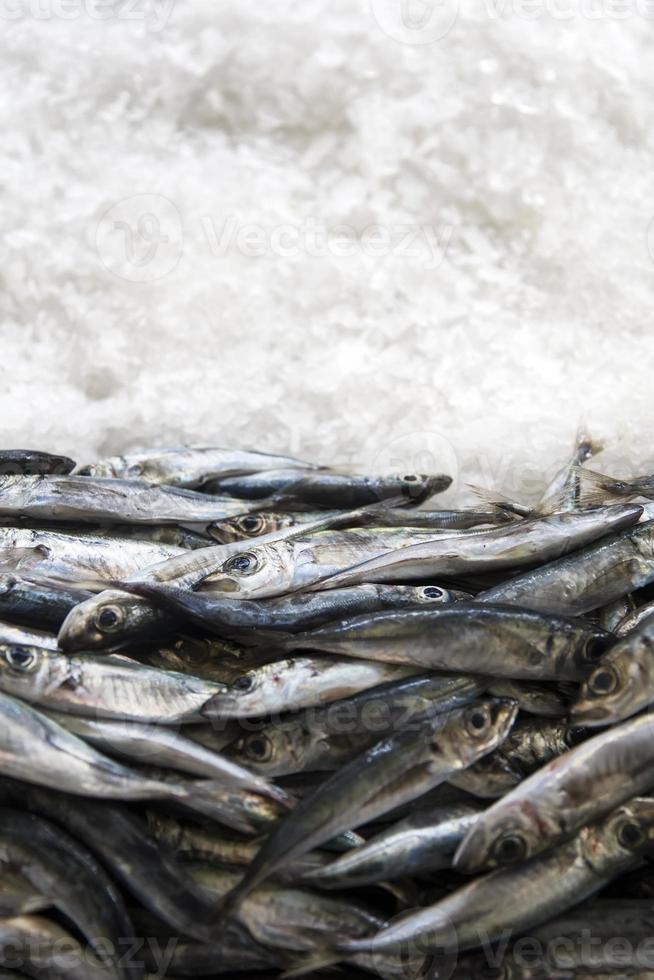 Fische auf dem Markt foto