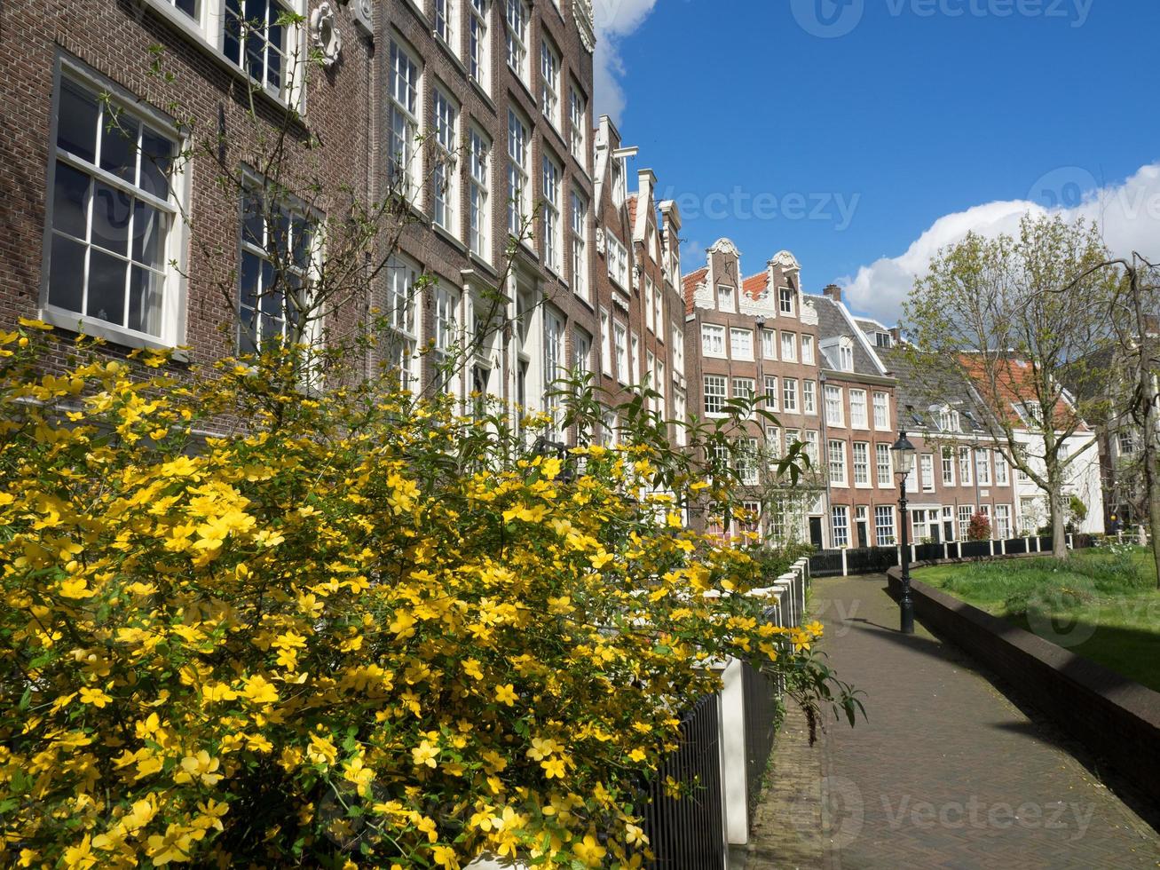 die niederländische Stadt Amsterdam foto