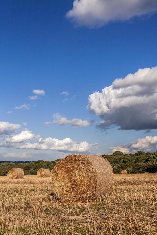 Heuballen auf einem Feld nach der Ernte foto