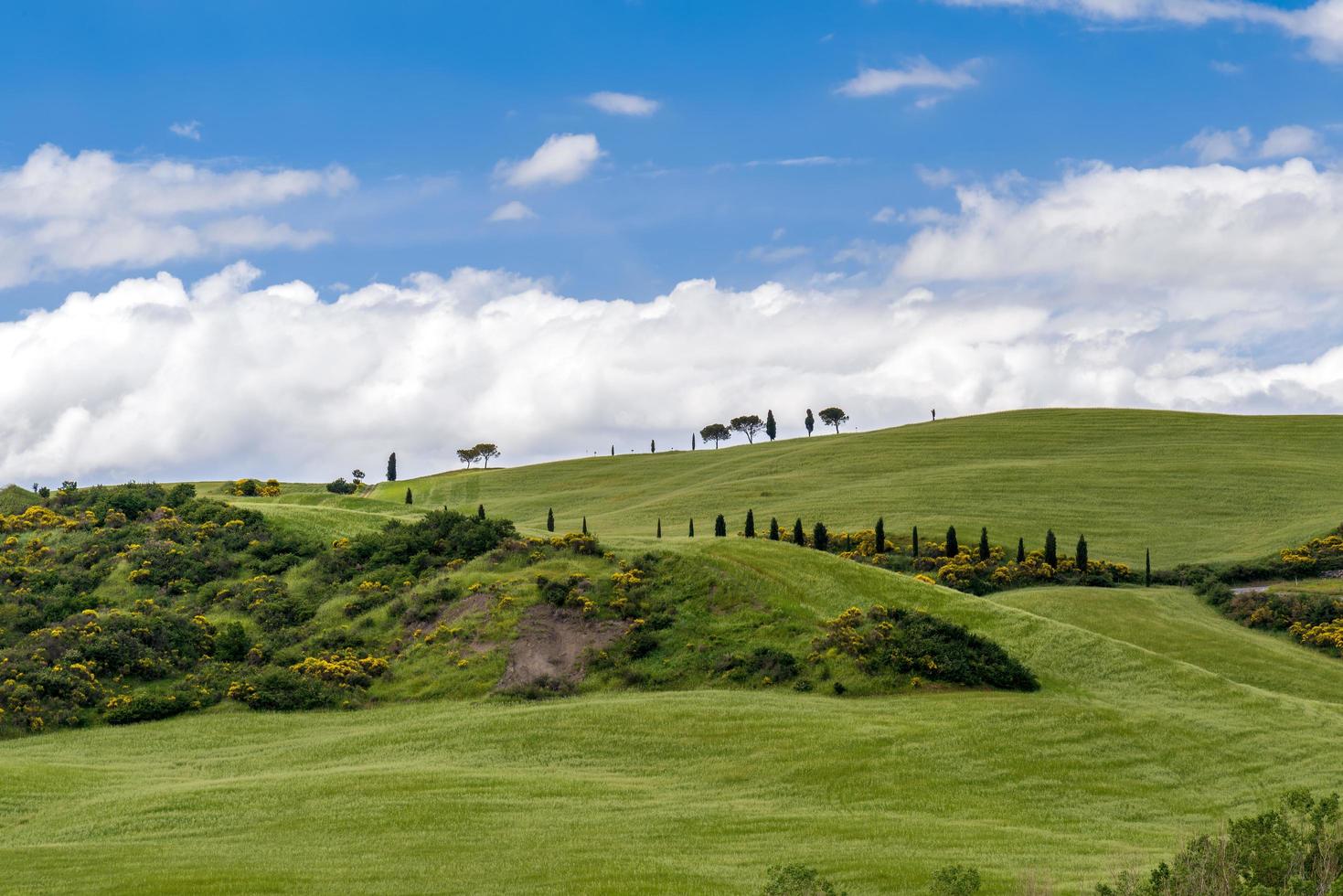 toskanische Landschaft im Frühling foto