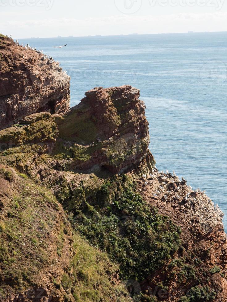 Insel Helgoland in der Nordsee foto