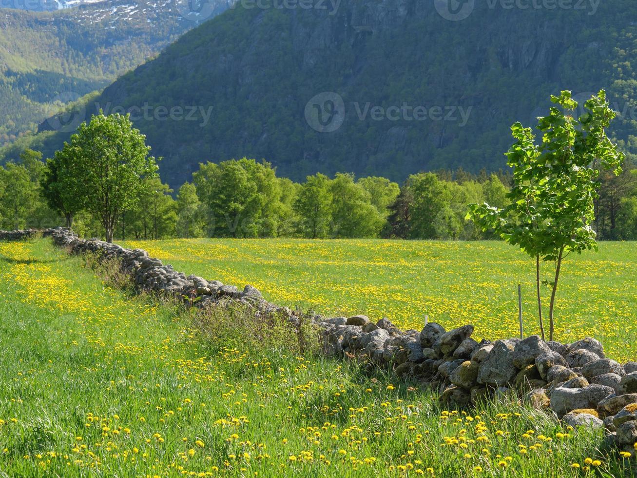 das kleine dorf eidfjord im norwegischen hardangerfjord foto