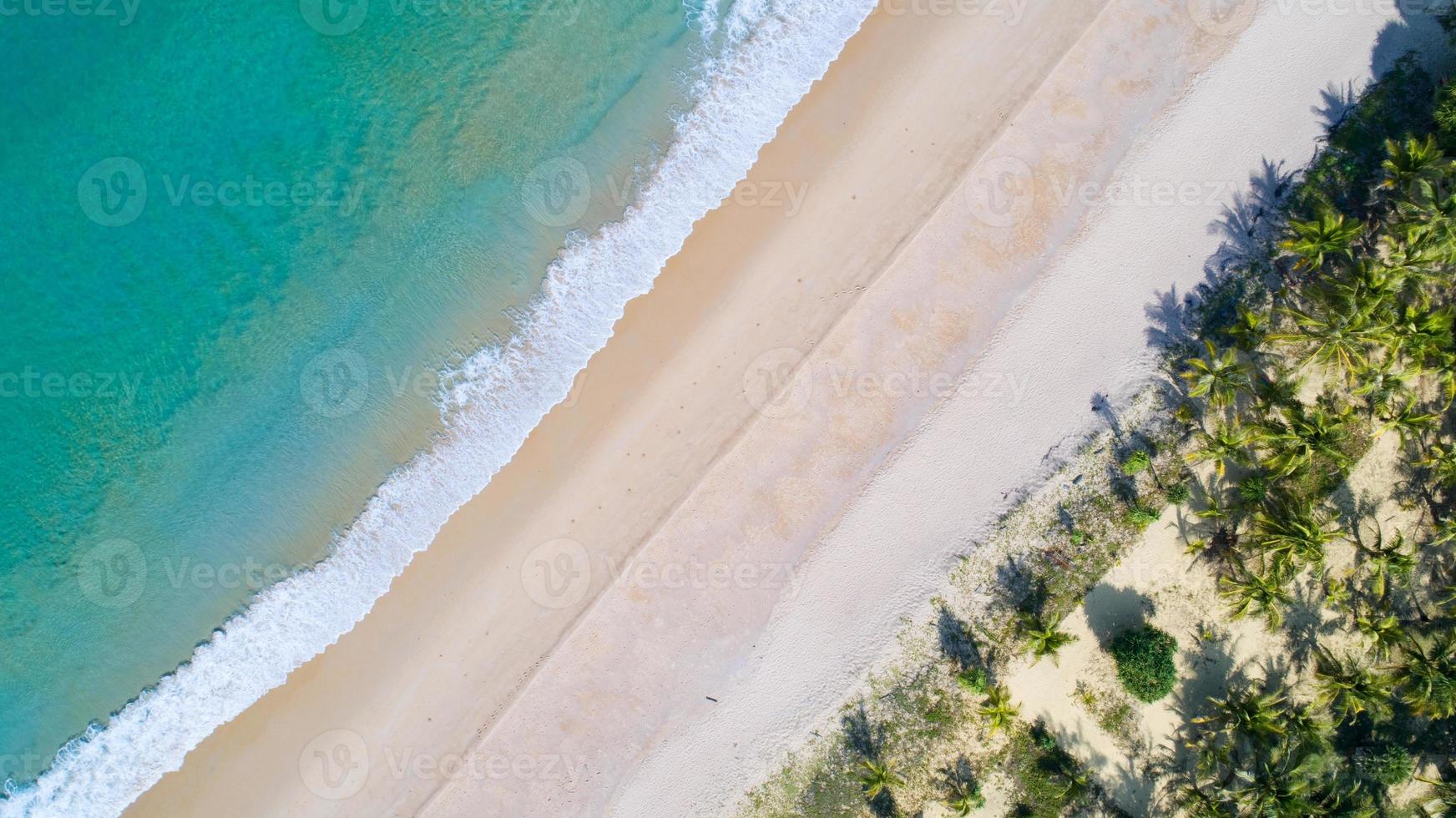 Luftaufnahme Sandstrand und Wellen Schönes tropisches Meer am Morgen in der Sommersaison mit Kokospalmen am Strand. Drohnenaufnahme aus der Luft. Hochwinkelansicht von oben nach unten Meereslandschaft foto