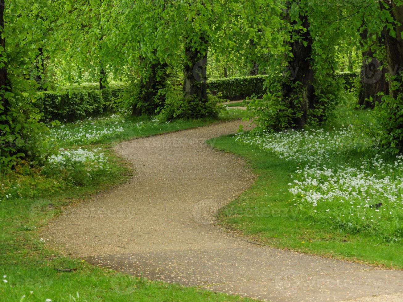 Garten und Küste in der Nähe von Newcastle in England foto