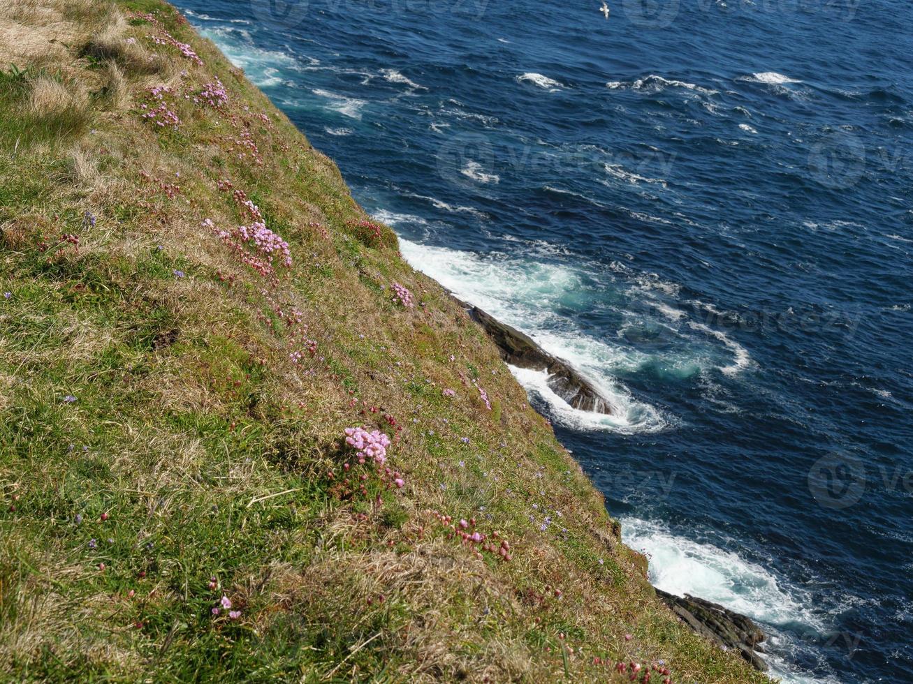 die Shetlandinseln in Schottland foto