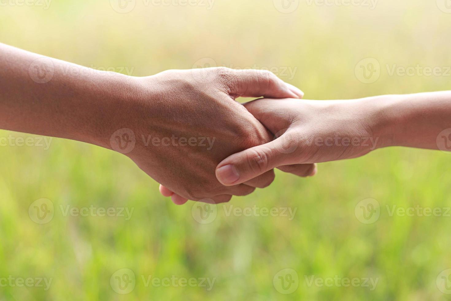 zwei Hände halten foto