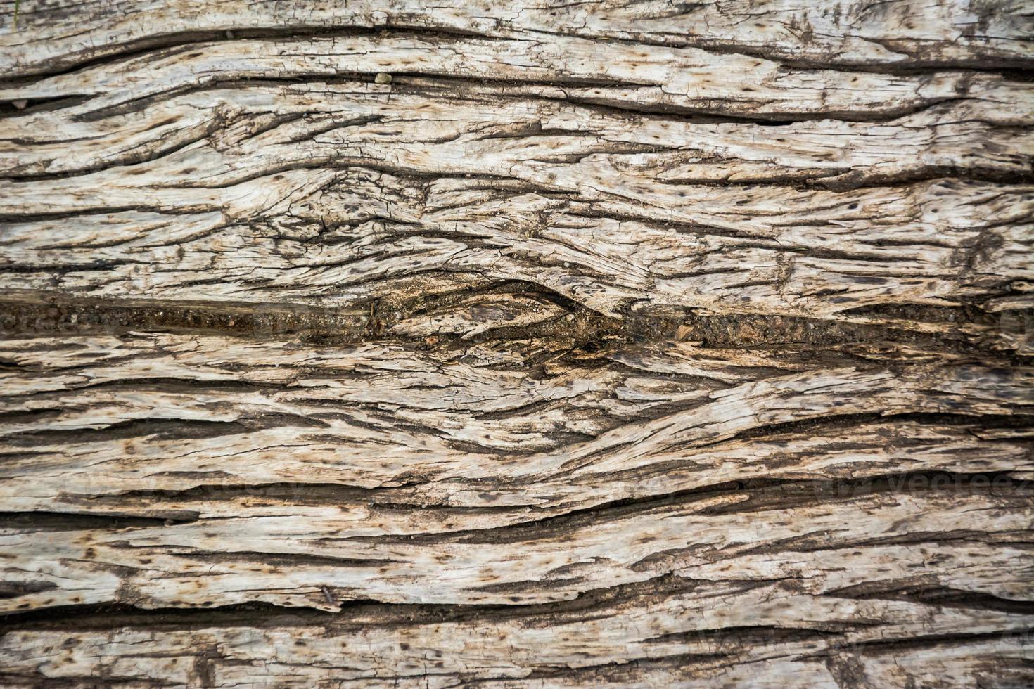 Holzwandkulisse für den Hintergrund foto