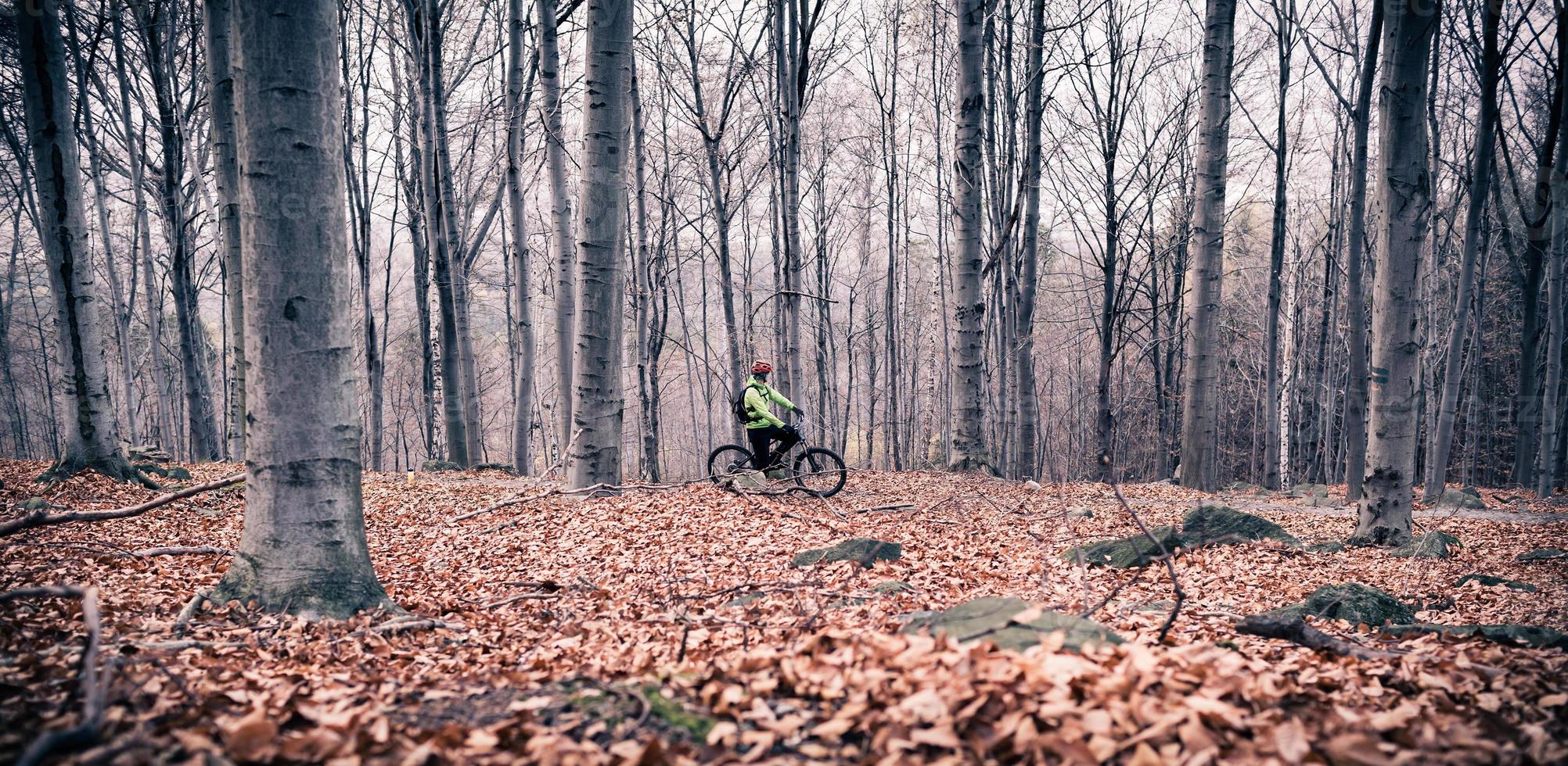 Mountainbiker auf Radweg im Wald foto