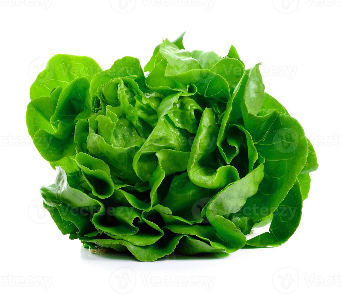 Salat Salat auf weiß isoliert foto
