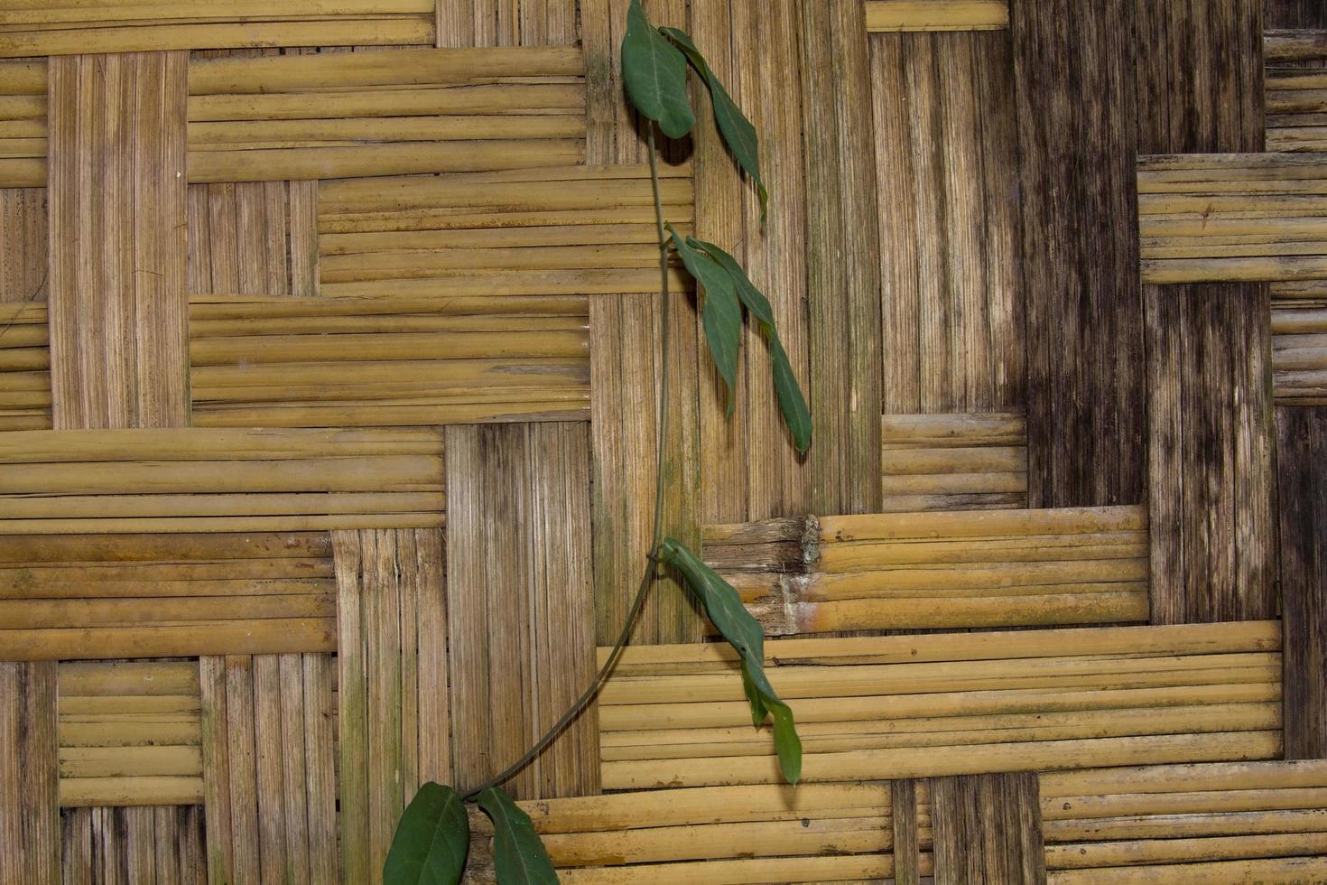 hauswände, kunstvoll aus trockenem bambus geflochten, sind eine traditionelle lebensweise im ländlichen asien - thailand, laos und kampucha. foto