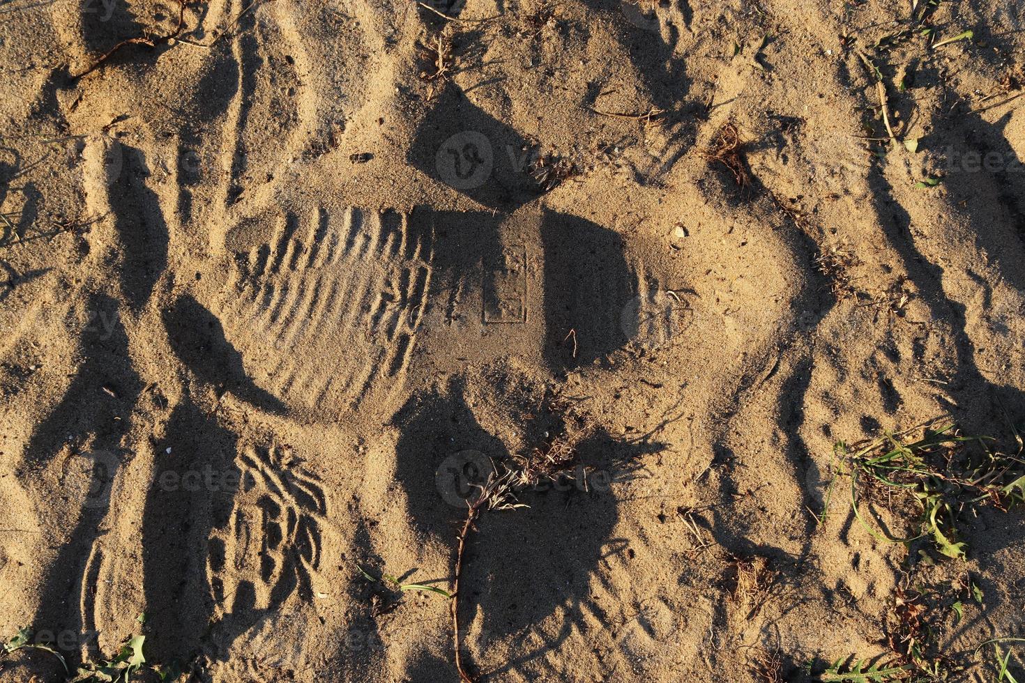 Detaillierte Nahaufnahme auf Sand an einem Strand an der Ostsee foto