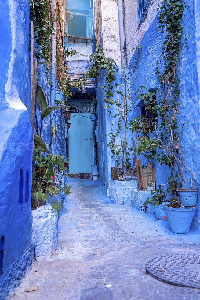 schmale Gasse der blauen Stadt mit Topfpflanzen, die zu geschlossenen Wohnstrukturen führen foto